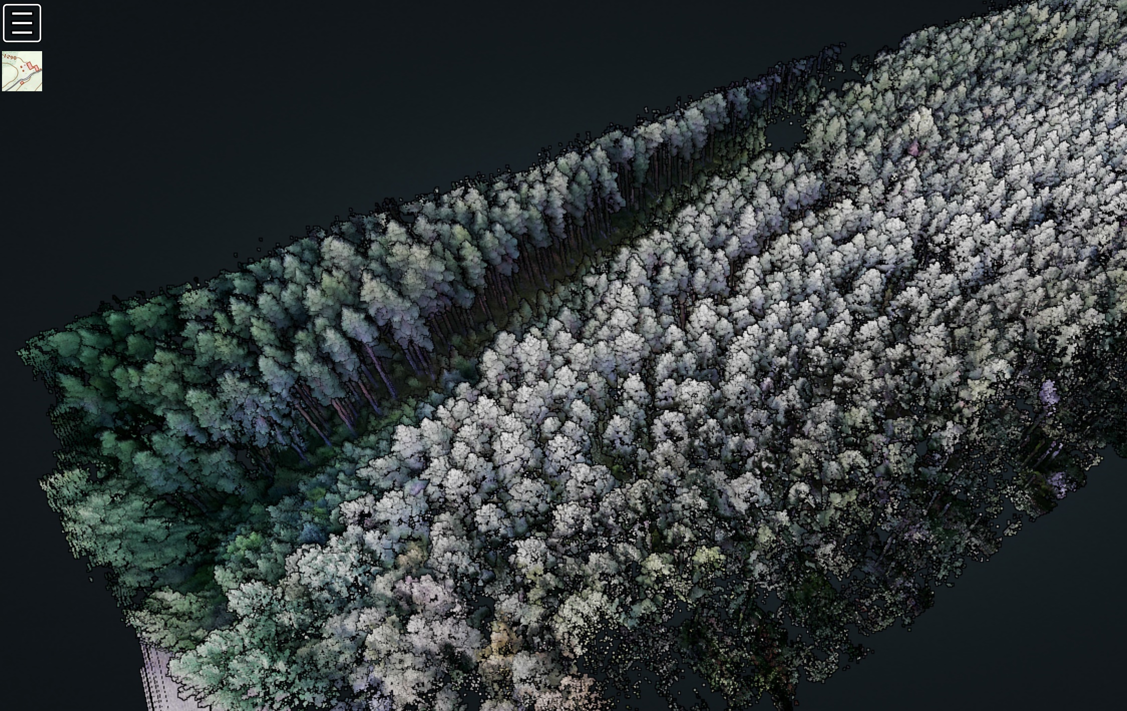 Detailed PINE forest point cloud generated by Flaperon