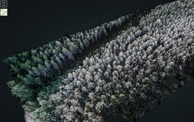 Detailed PINE forest point cloud generated by Flaperon